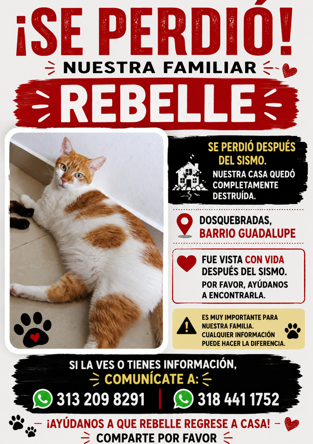 ¡Se perdió Rebelle! 165
