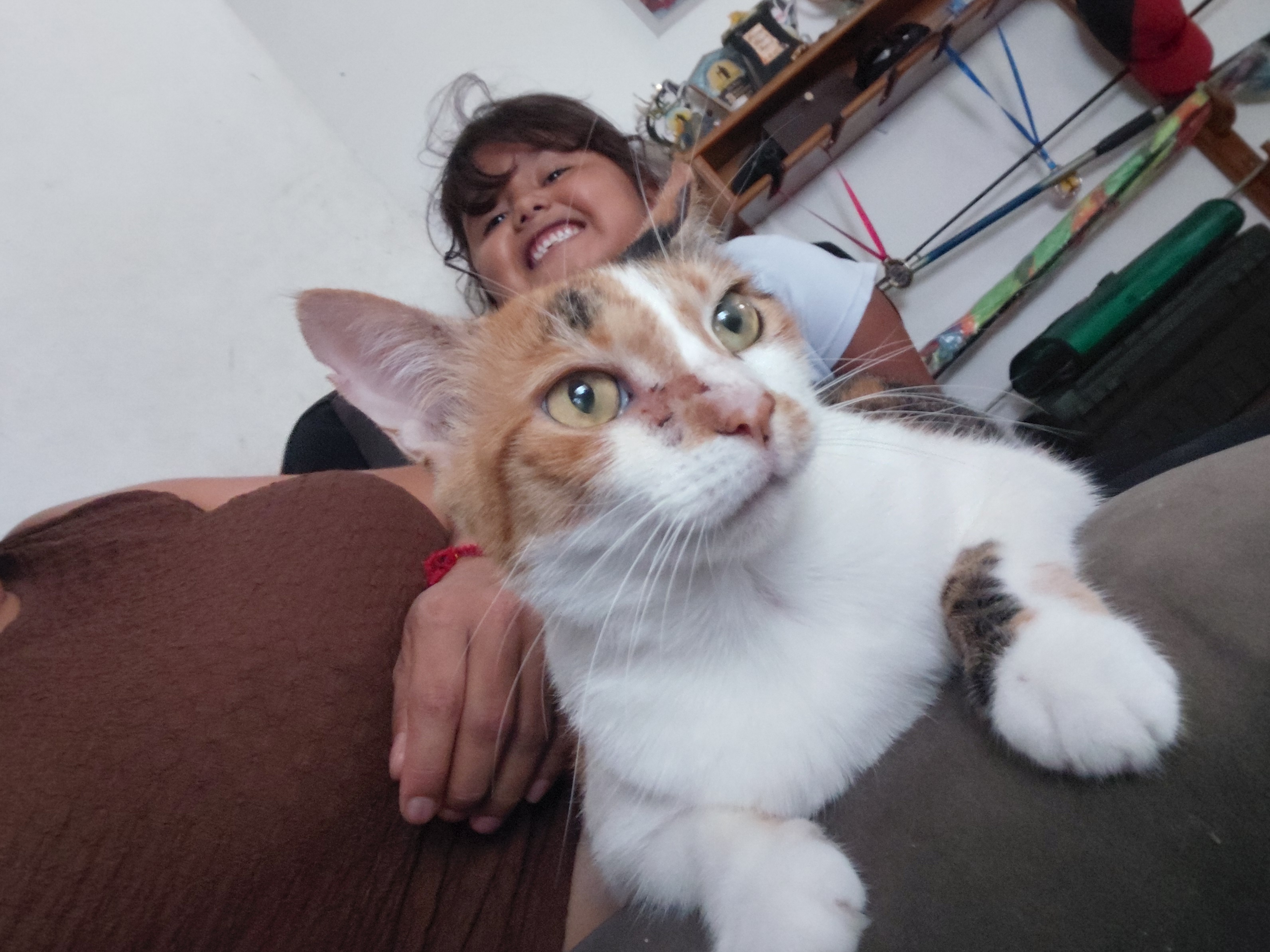 Luna - Gata Perdida 💔 184