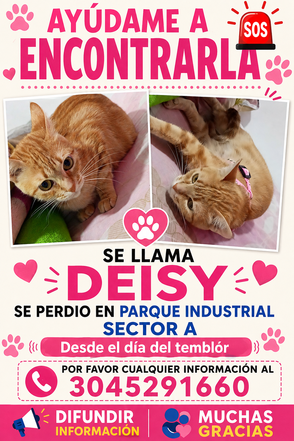 ¡Se busca Deisy! Gata perdida en Parque Industrial Sector A 🐈 141