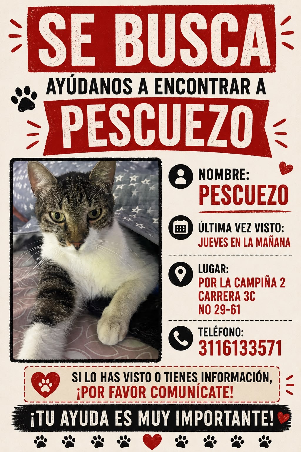Perdí a Pescuezo: ¡Ayúdanos a encontrarlo! 133