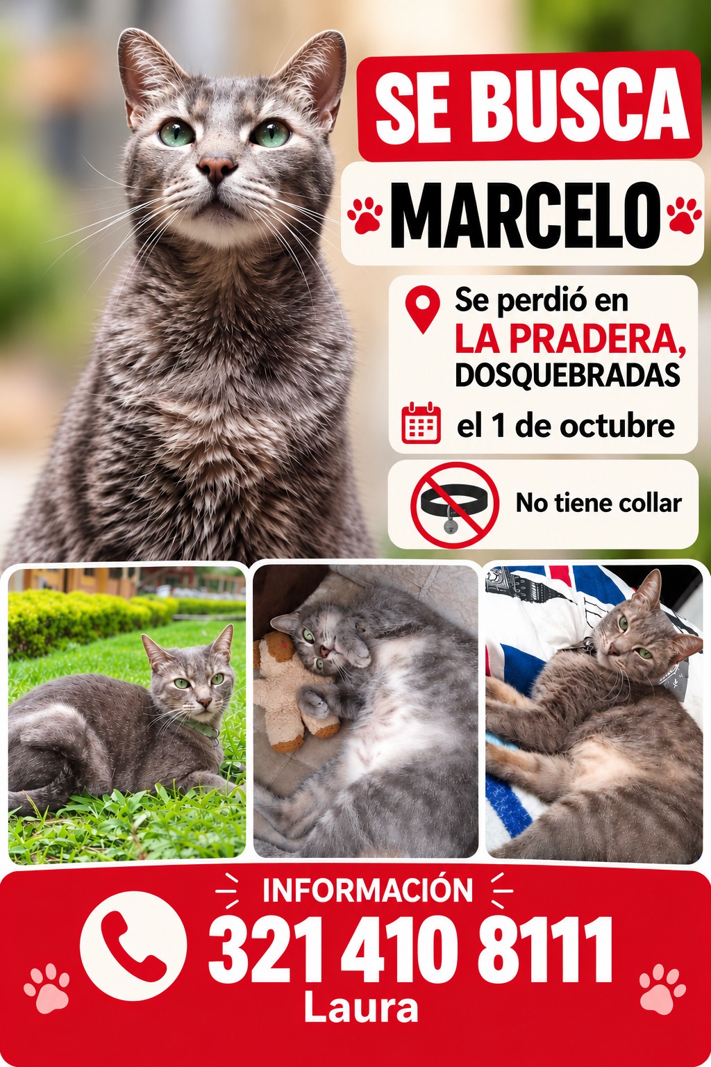 ¡Marcelo se perdió en la Pradera, Dosquebradas!. Contáctanos 321 410 8111 237