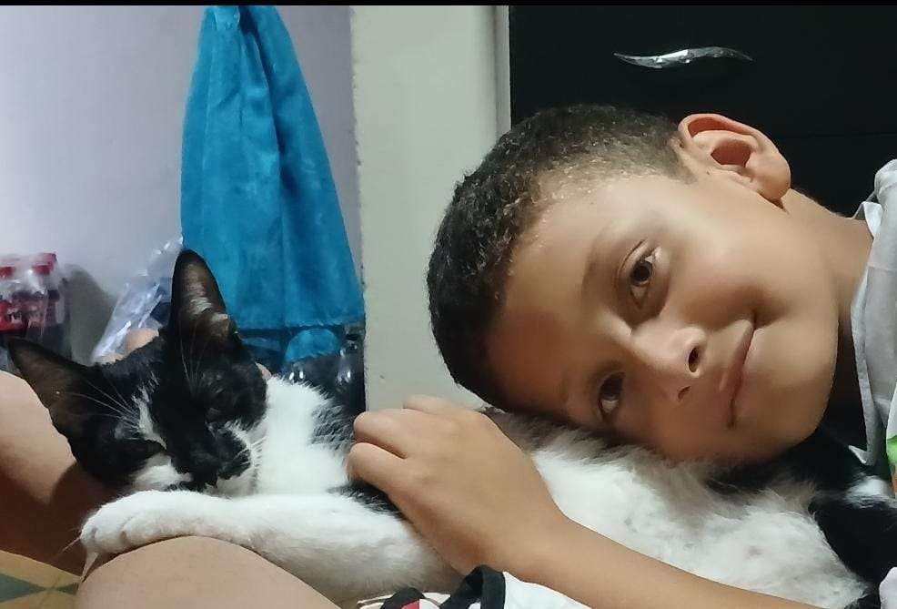 ¡Gatuna Perdida! Ayuda a encontrar a mi gatita blanca y negra 152