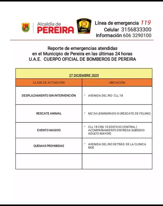 Felino rescatado en Leningrado III, Pereira 