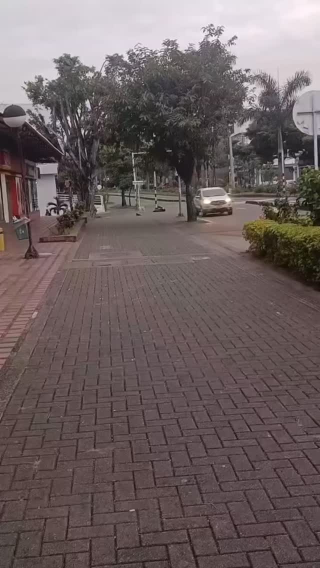 Perro encontrado cerca de Oxxo 30 de Agosto