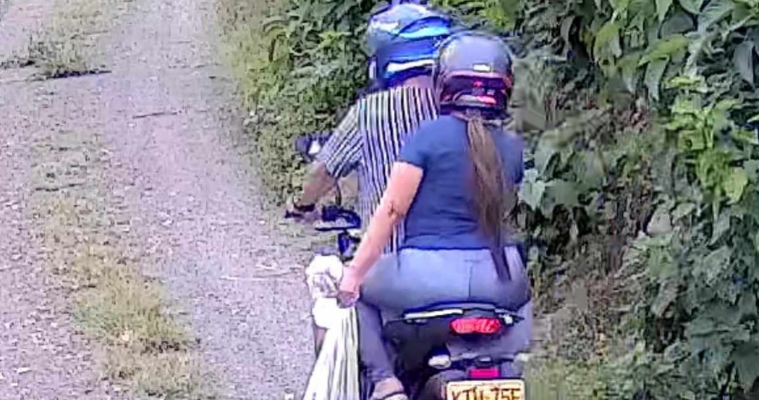 Gata abandonada en Risaralda: Un llamado a la adopción responsable 