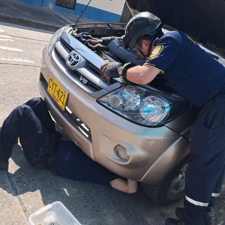 Rescate de gato en motor de vehículo en Risaralda 