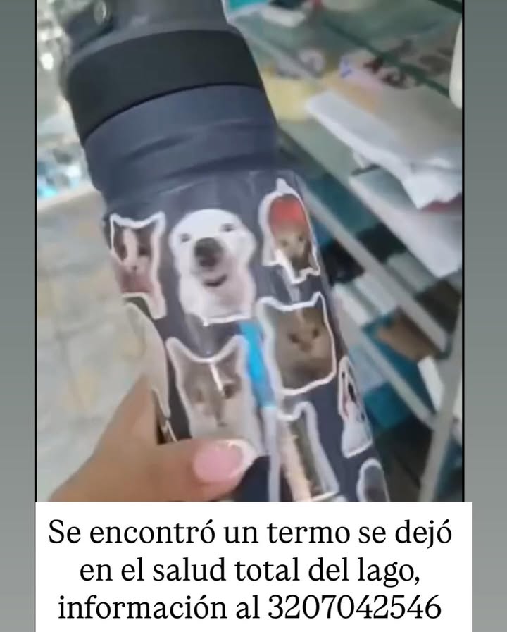 Termo encontrado en Pereira 
