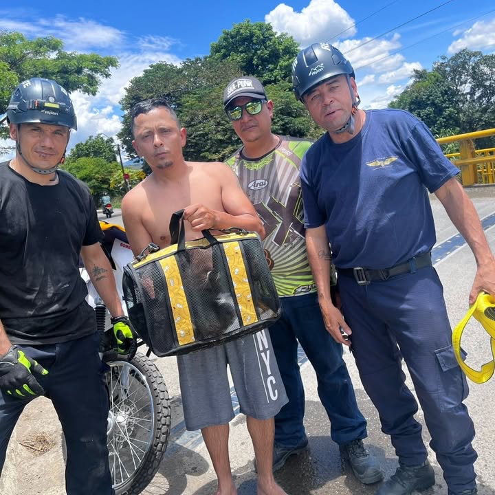 Rescate de Gato en Risaralda 