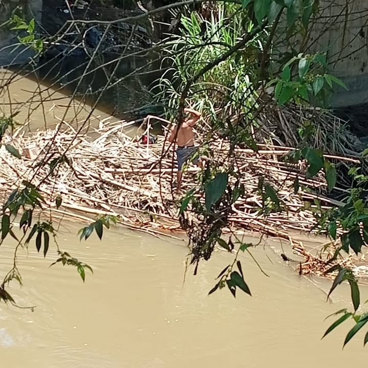 Rescate de Gato en Risaralda 