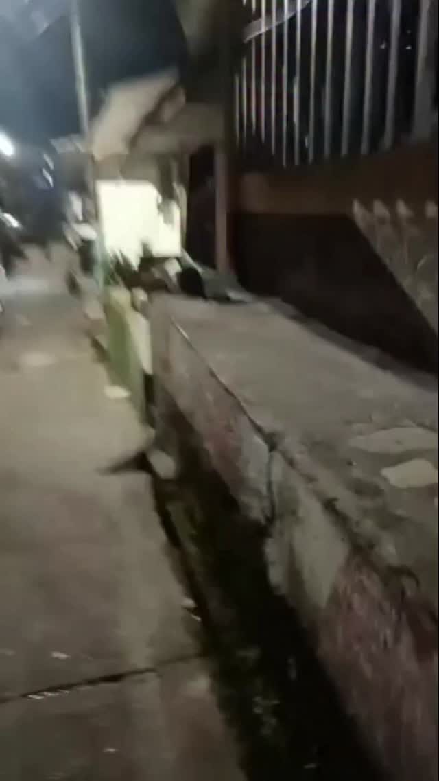 Adopción de Perro en Villasantana 