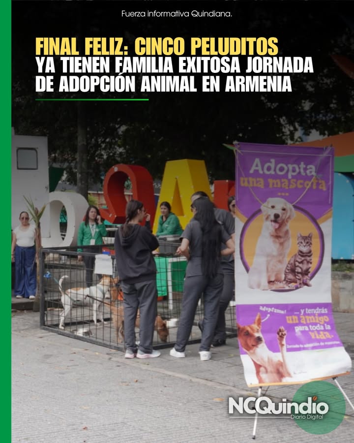 Adopción exitosa de animales en Armenia 