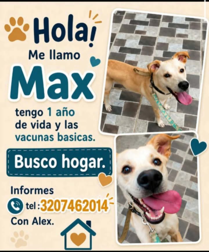 Max Busca Hogar - Pereira 