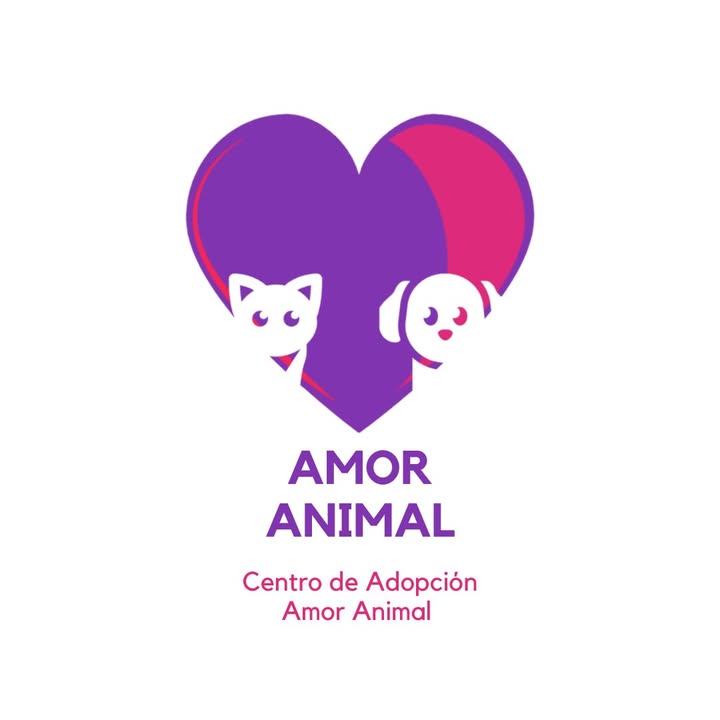 Adopción de perro peludo en Bogotá 