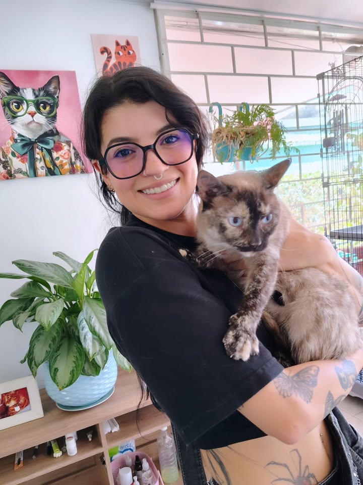 Gata adulta en adopción responsable en Bogotá 