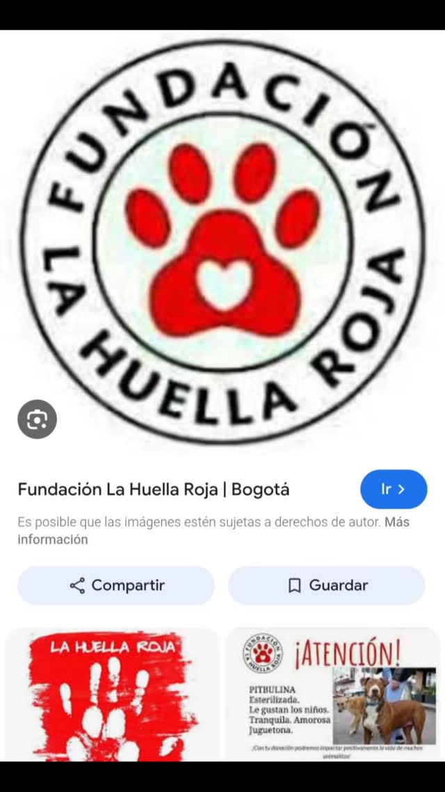 Perrito Macho Encontrado en Ciudad Bolívar, Bogotá 