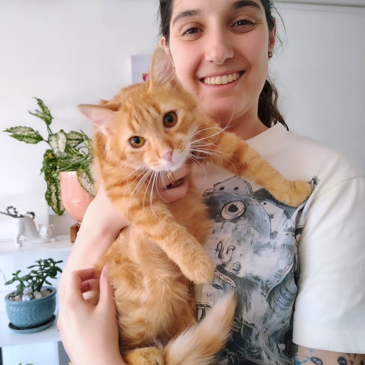 Gato Aarón busca hogar definitivo en Bogotá 