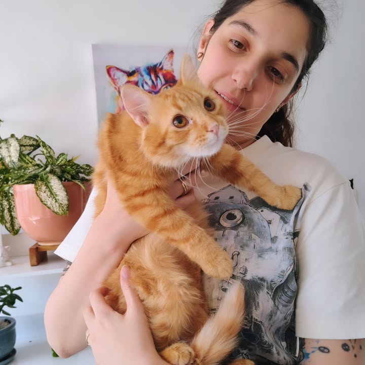 Gato Aarón busca hogar definitivo en Bogotá 