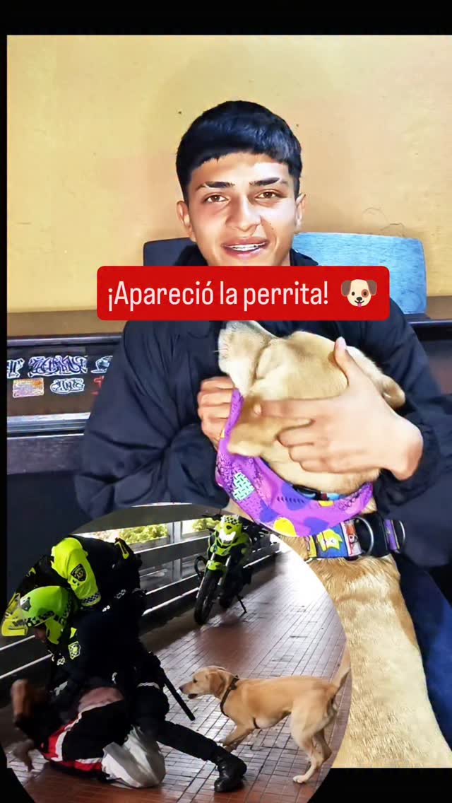 Perrita Delta apareció en Bogotá tras presunto exceso policial en CC La Colina 