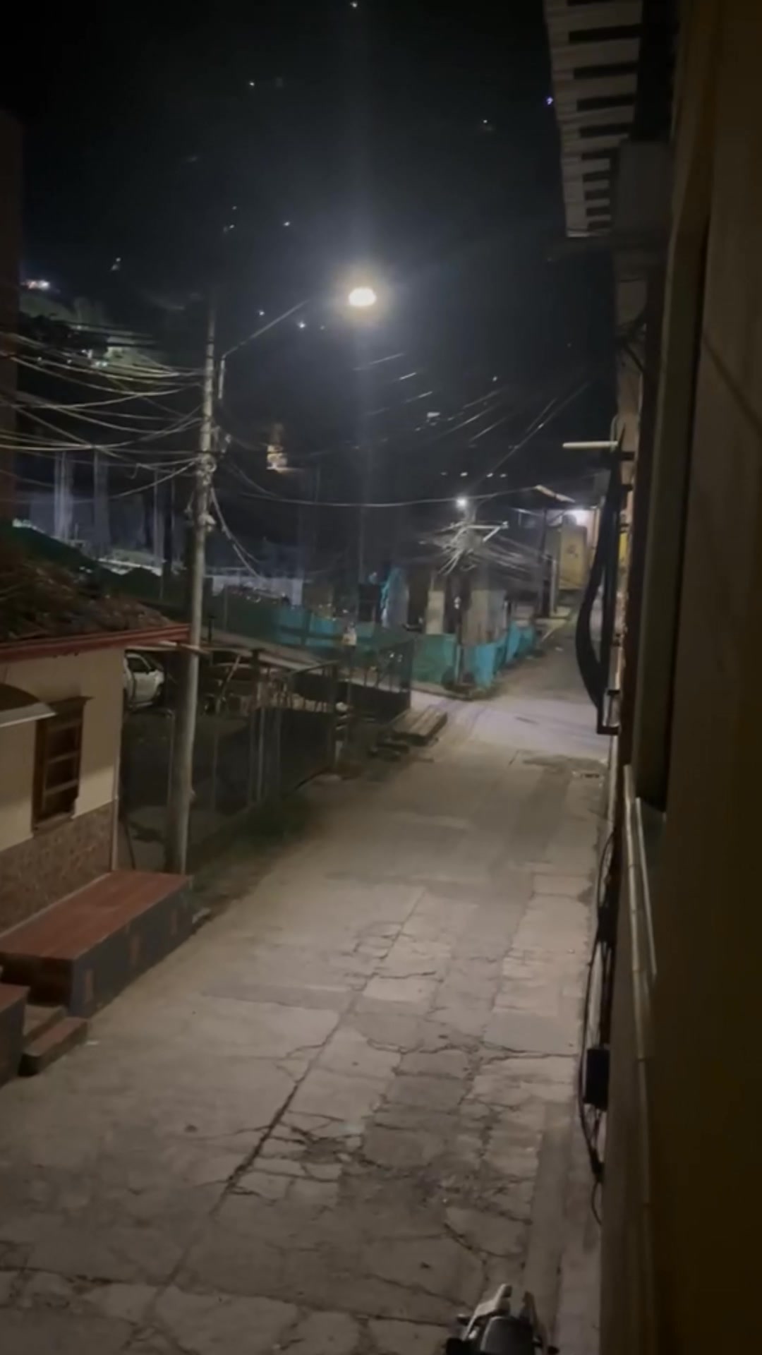 Gatica perdida en Amagá, Antioquia 