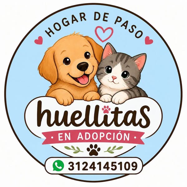 Adopción de perro y gato en Neira, Caldas 