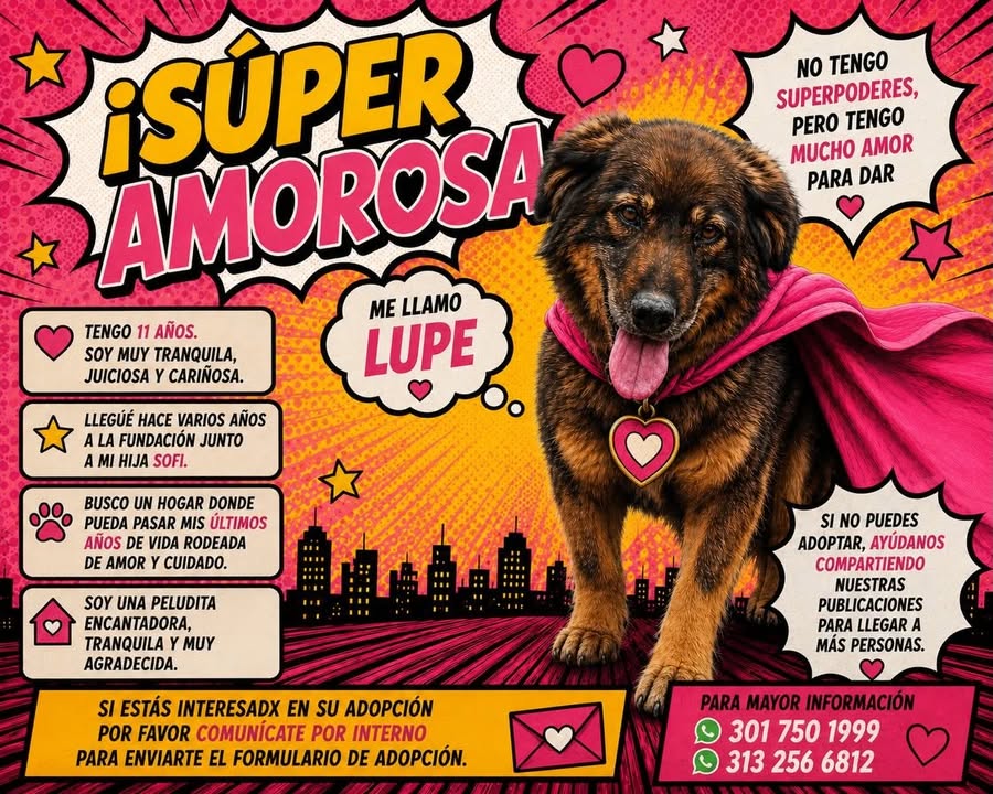 Adopta a Lupe: Perra adulta busca hogar amoroso en Bogotá 