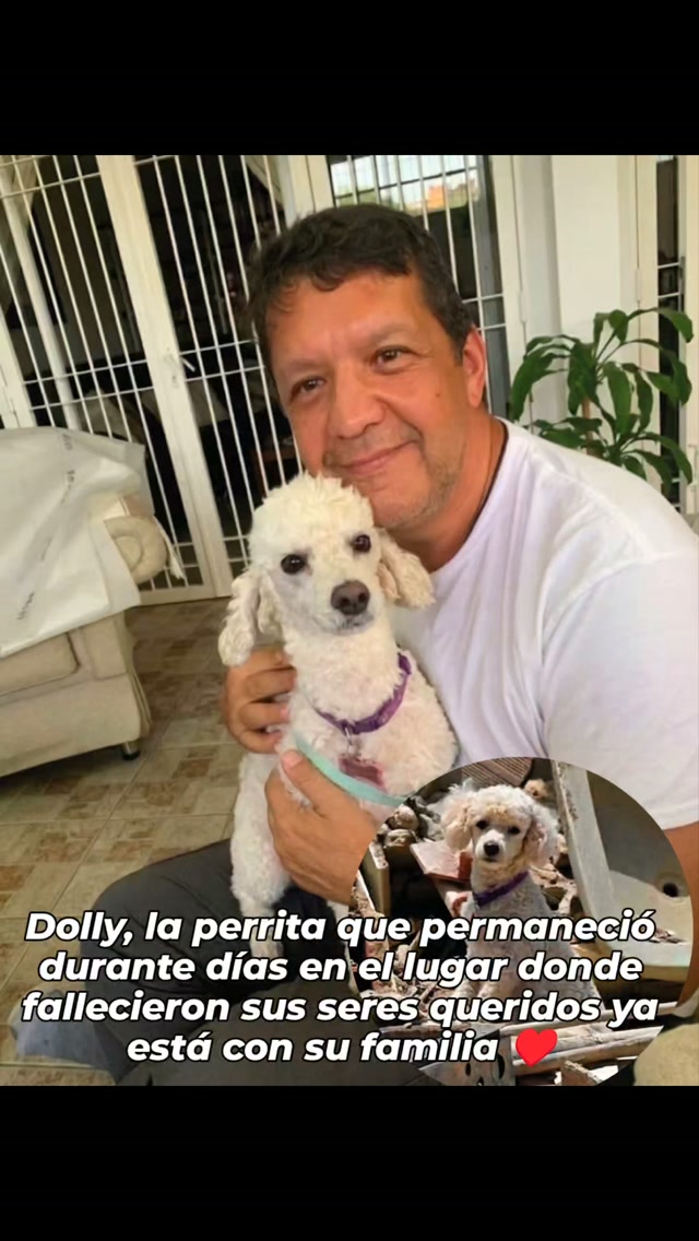 Perra Dolly se reencuentra con su familia tras permanecer días en el lugar de un 