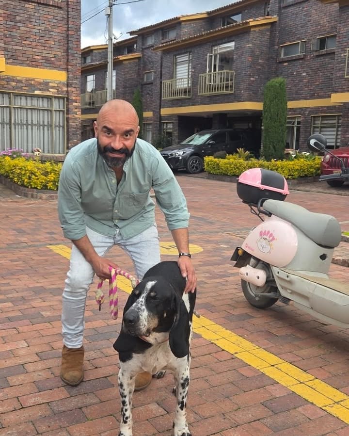 Enzo, perro adoptado en Armenia, Quindío 
