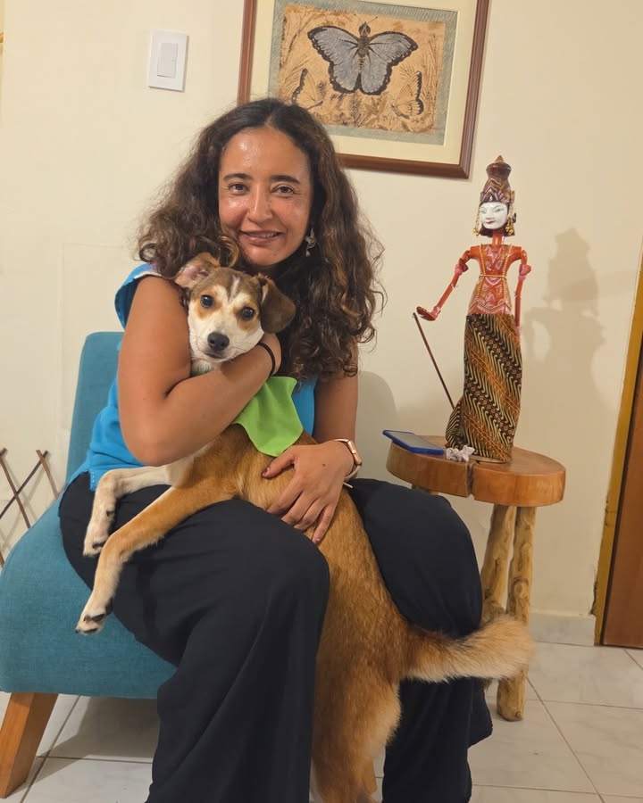 Rocco ha encontrado un hogar definitivo 