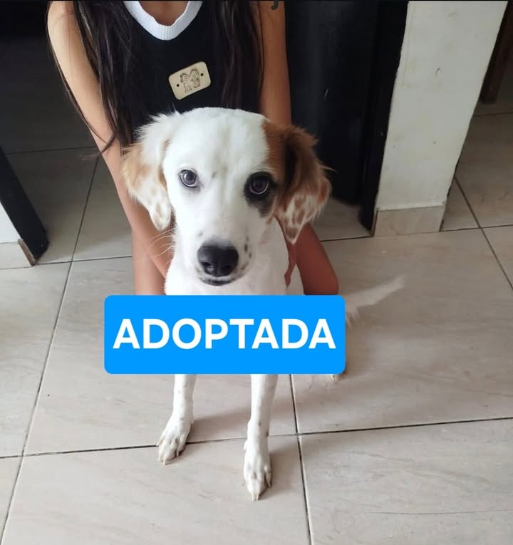 Khanji ha sido adoptada con éxito 
