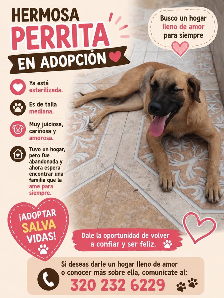 Hermosa Perrita en Adopción en Tuluá 