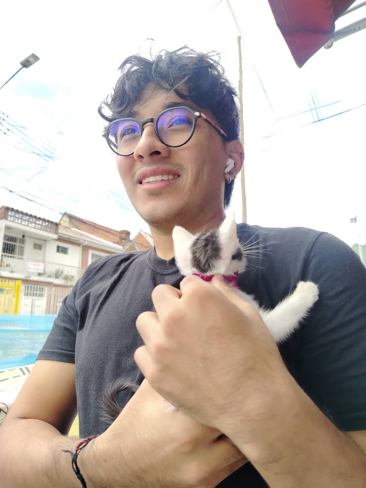Proceso de Adopción Gatitos Felices en Bogotá 