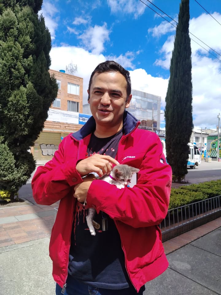 Proceso de Adopción Gatitos Felices en Bogotá 