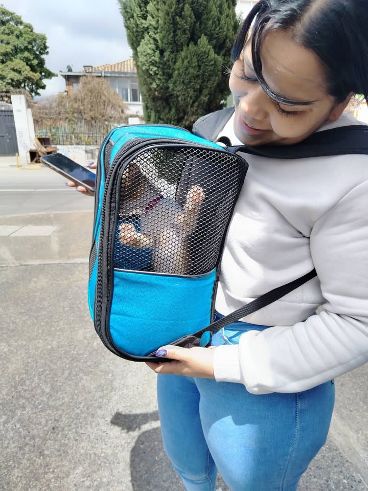 Proceso de Adopción Gatitos Felices en Bogotá 