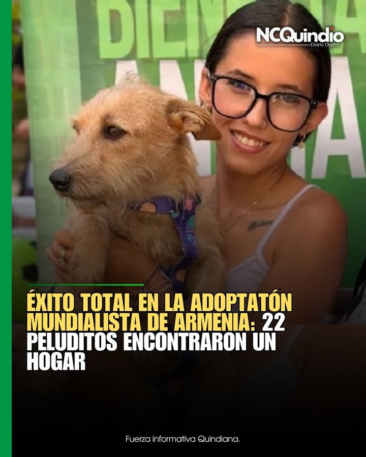 Adopción de 22 perros en Armenia, Quindío 