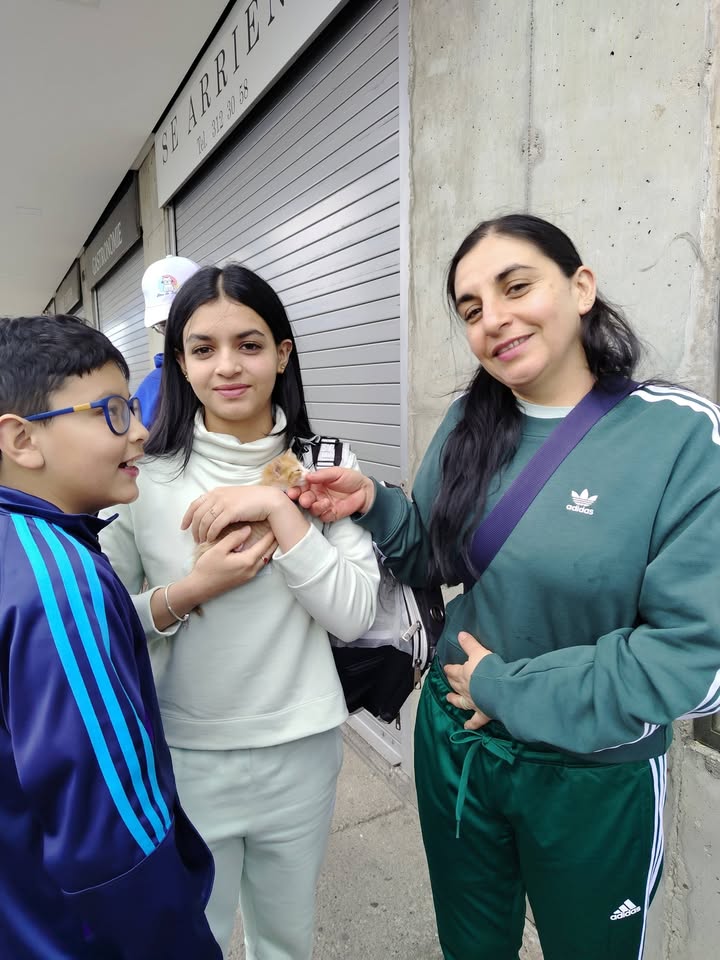 Proceso de Adopción Gatitos Felices en Bogotá 