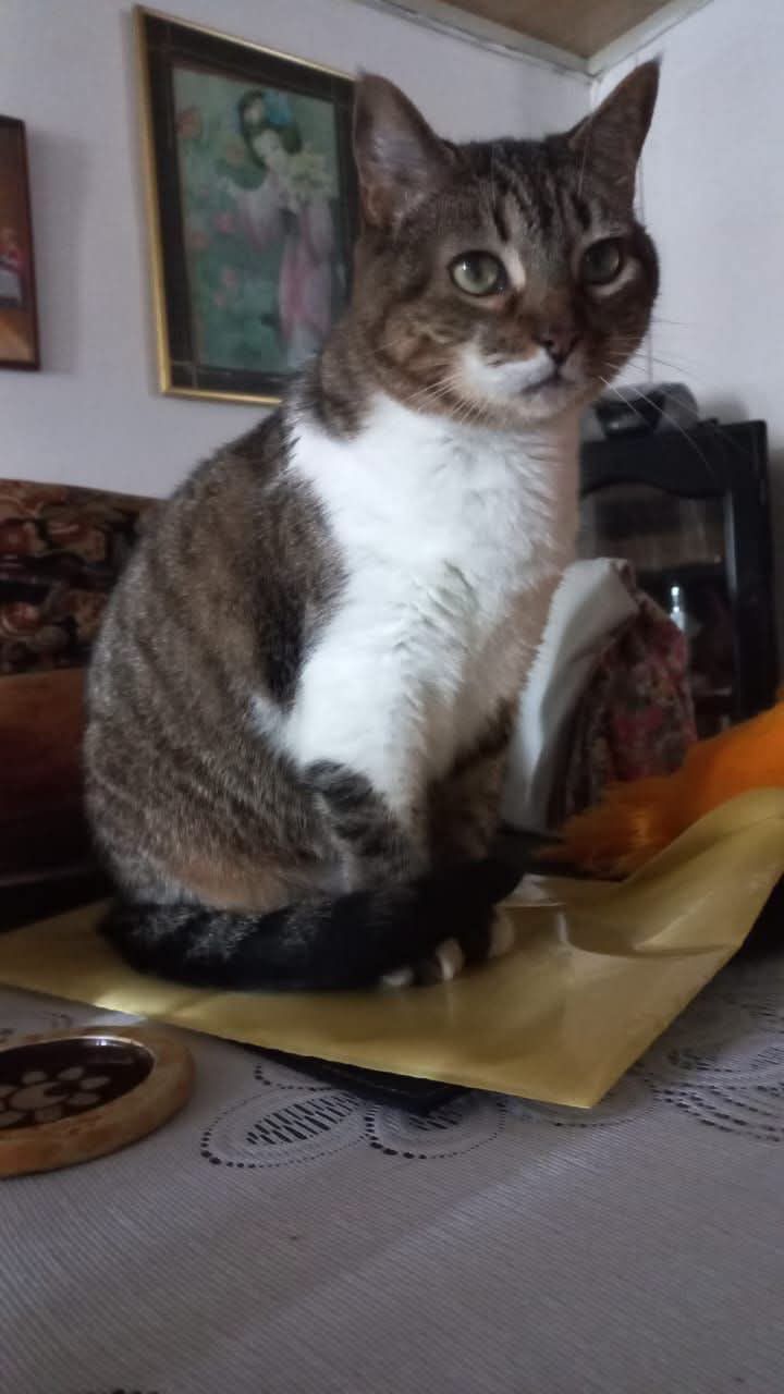Cuqui en casa - Sevilla, Valle, Colombia 