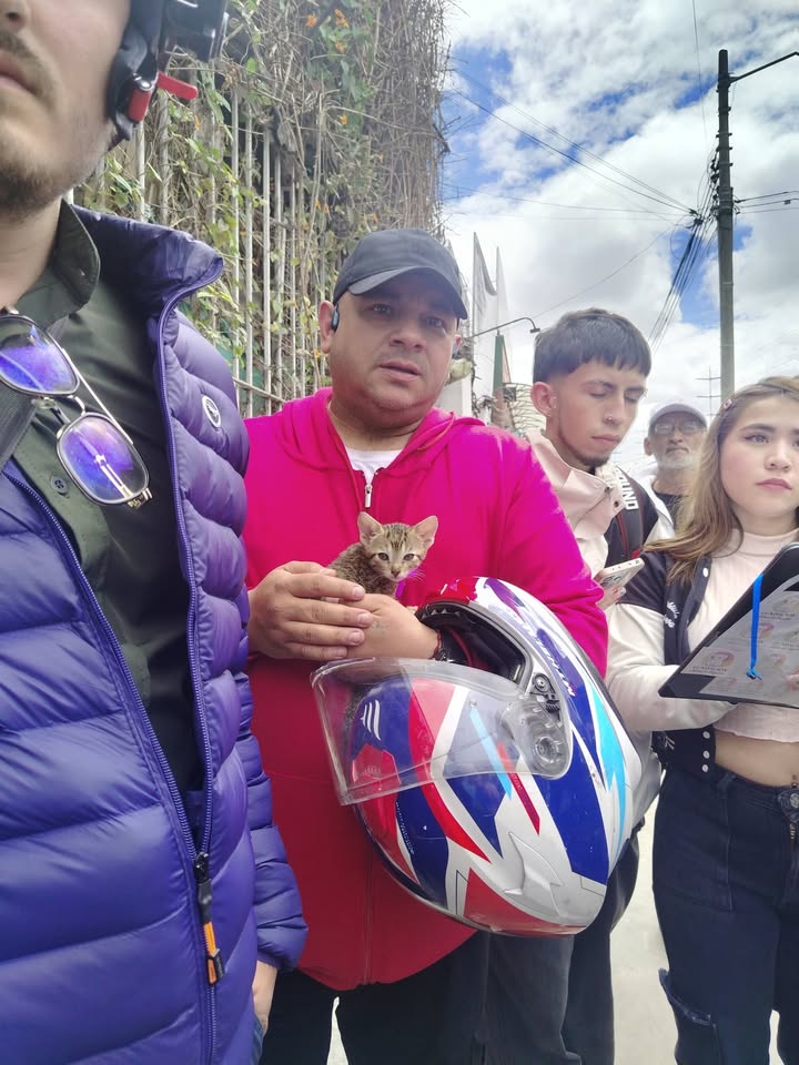 Jornada de adopción de mascotas en Bogotá 