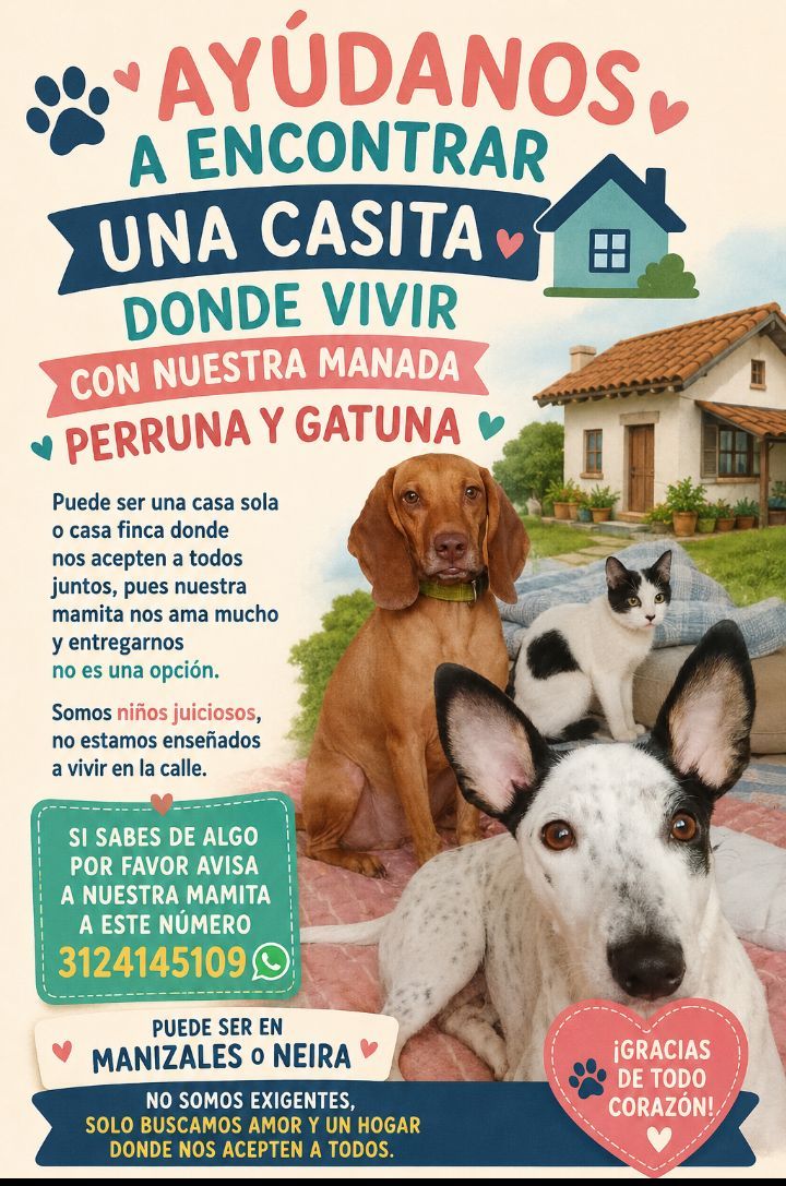 Busca casita para perruna y gatuna en Manizales o Neira 