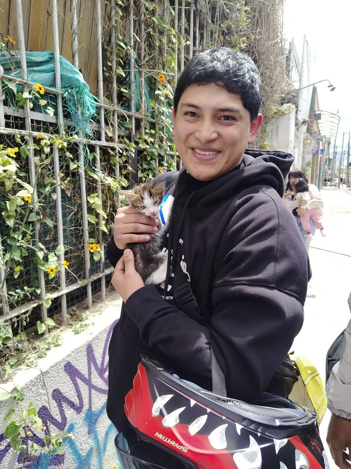 Jornada de adopción de mascotas en Bogotá 
