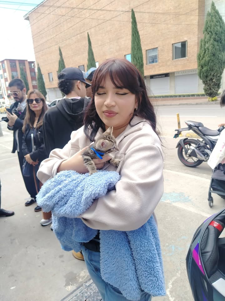 Jornada de adopción de mascotas en Bogotá 