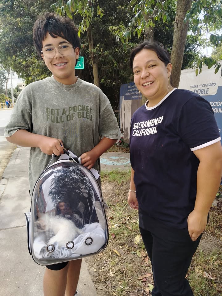 Jornada de adopción de mascotas en Bogotá 