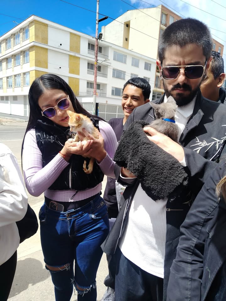 Jornada de adopción de mascotas en Bogotá 
