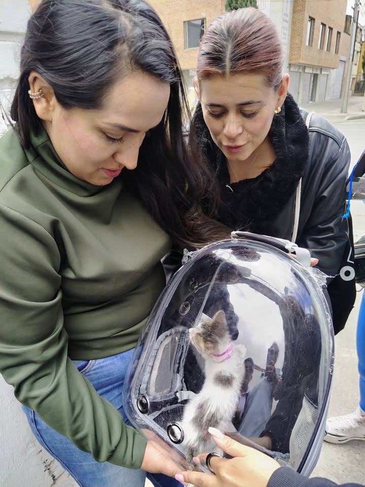 Jornada de adopción de mascotas en Bogotá 
