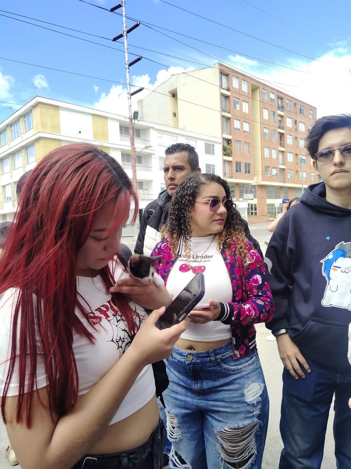 Jornada de adopción de mascotas en Bogotá 