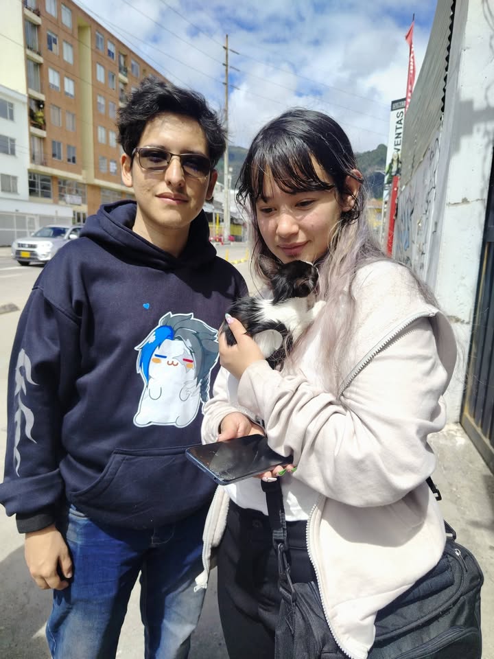 Jornada de adopción de mascotas en Bogotá 