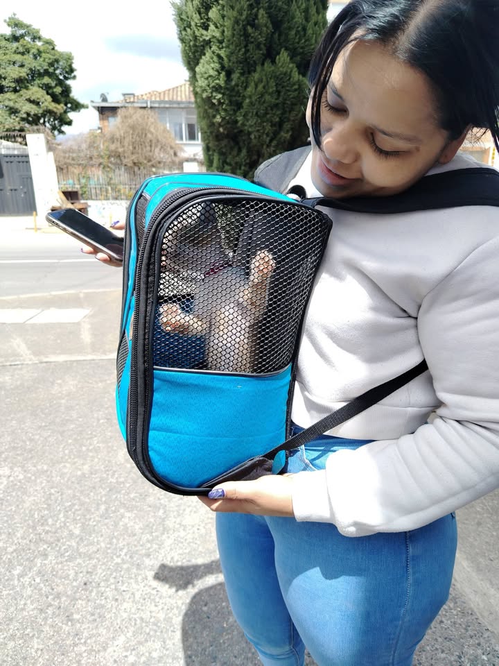 Jornada de adopción de mascotas en Bogotá 