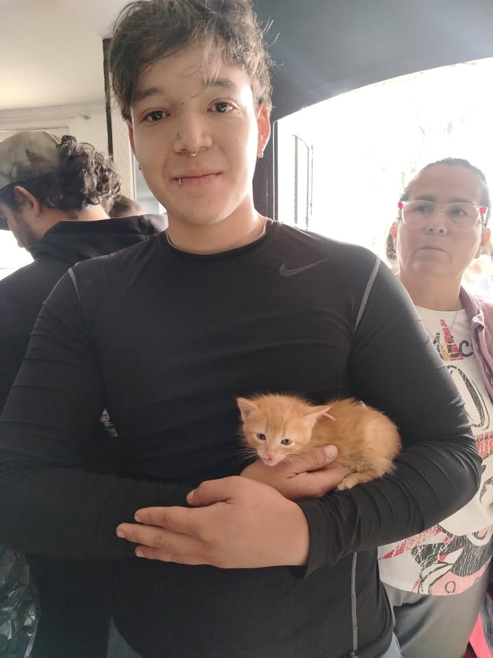 Adopta un nuevo amigo en Bogota 