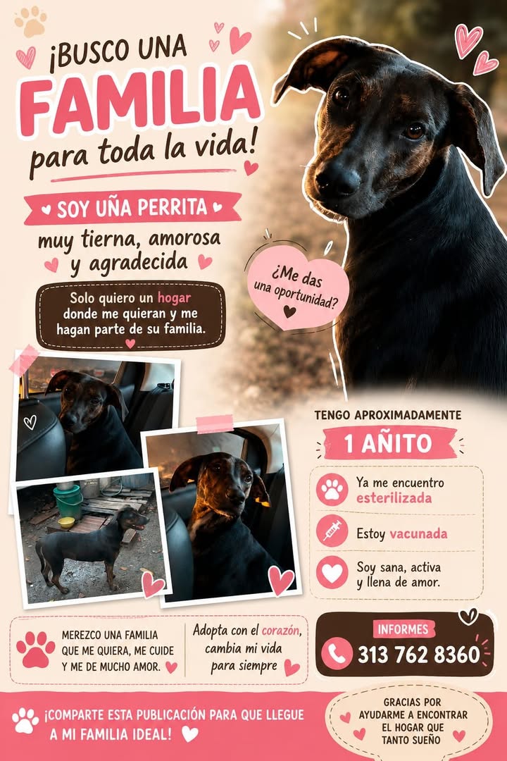 Adopta a Uña Perrita, una perra mestiza de Tuluá 