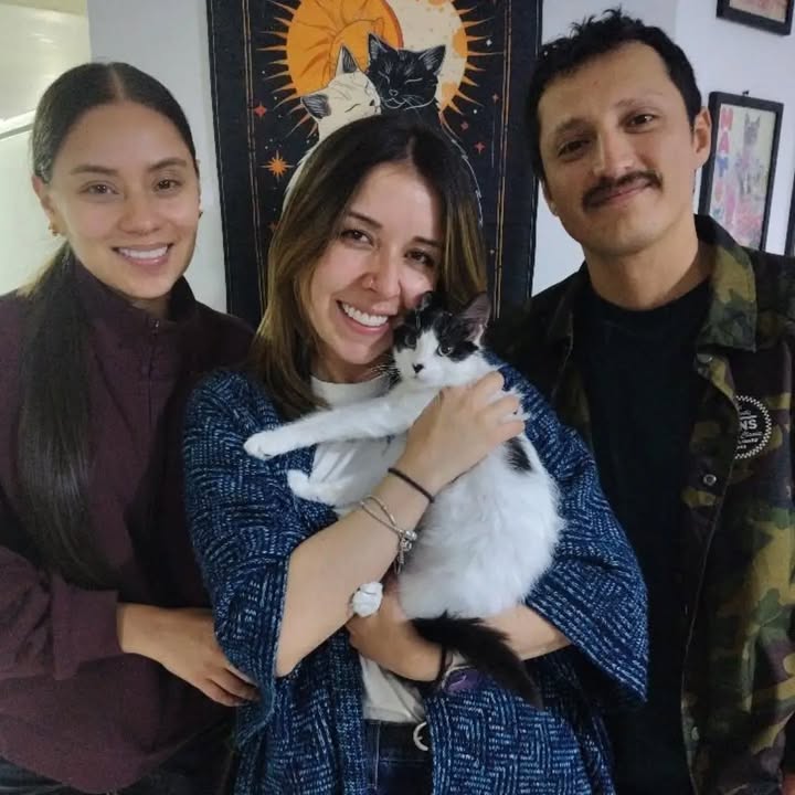 Adopción responsable de Sakura, gatita recuperada y esterilizada en Bogotá 