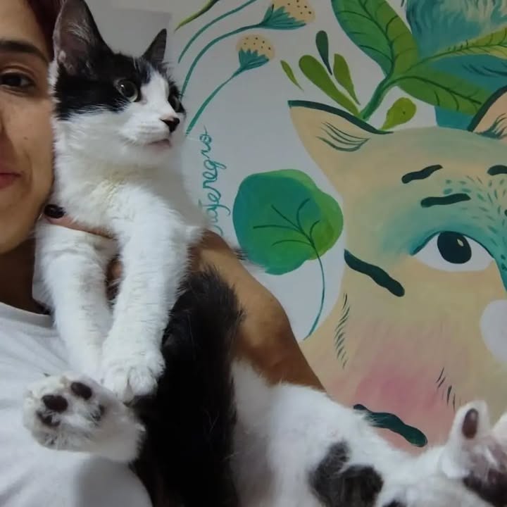 Adopción responsable de Sakura, gatita recuperada y esterilizada en Bogotá 